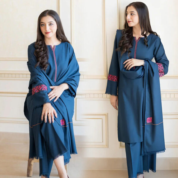 Asling Hit Volume Embroidered Dhanak 3Pc