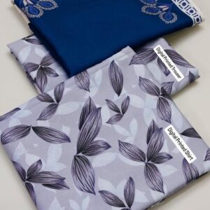 Baroque Winter Embroidered Collection