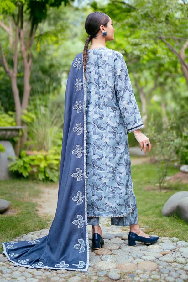 Baroque Winter Embroidered Collection