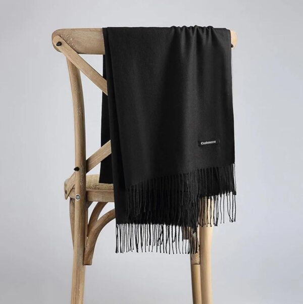 Women Premium Pashmina Wool Shawl