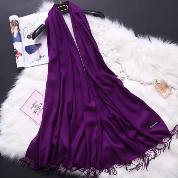 Women Premium Pashmina Wool Shawl