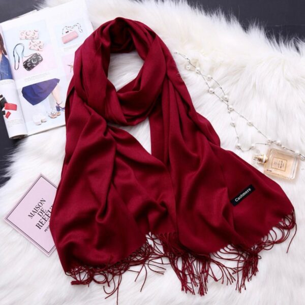 Women Premium Pashmina Wool Shawl