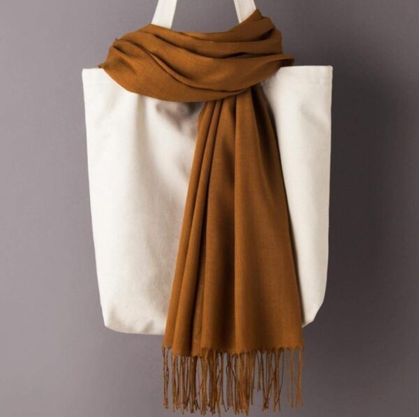 Women Pashmina Wool Shawl-02-