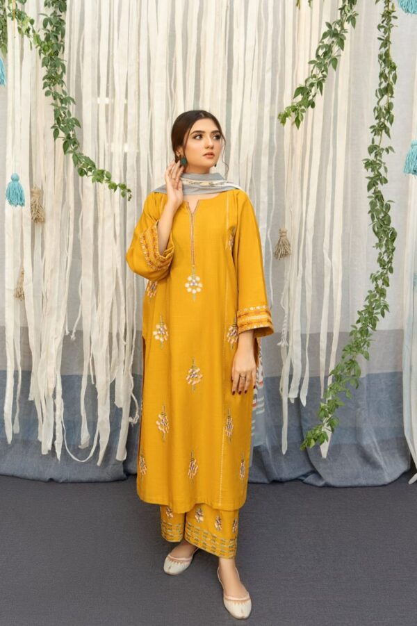 Urge Fabrics Dhanak with Pashmina Shawl Collection